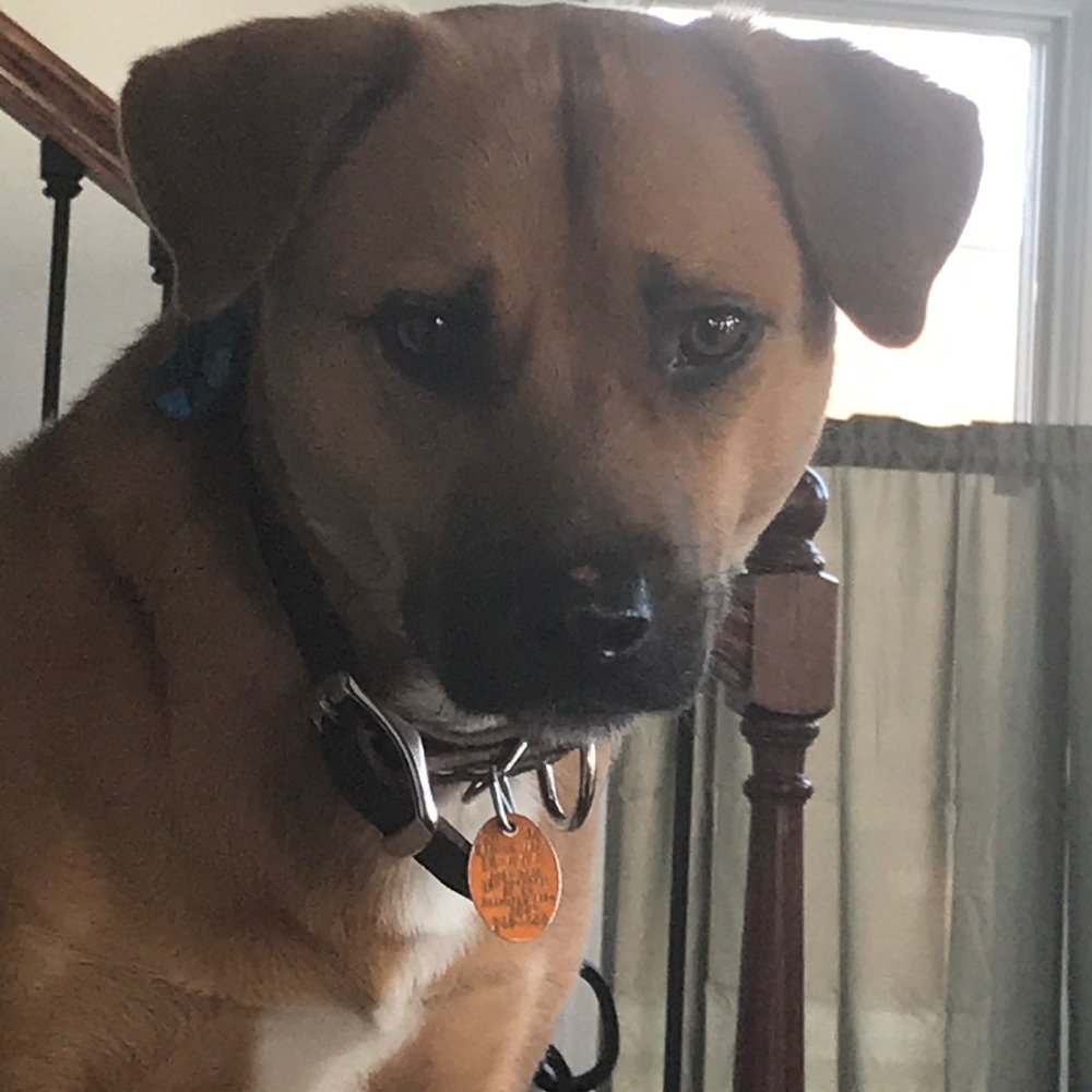 Meet your Posher, Toni